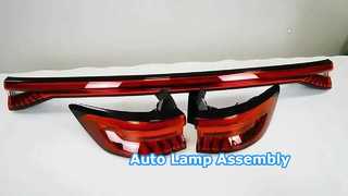 OEM Quality Auto Lamp Assembly, OE Replacement Parts