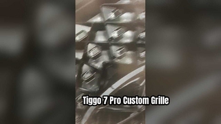 Radiator Grille